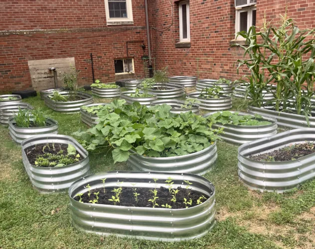 Grow and Give: Woolrich  Community Center launches garden to provide fresh produce, educational  opportunities